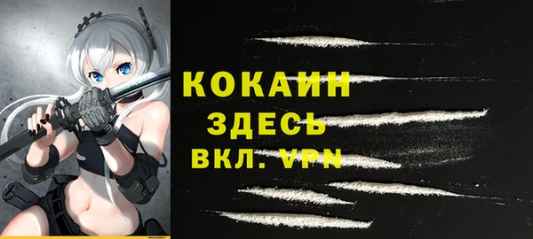 скорость Вяземский