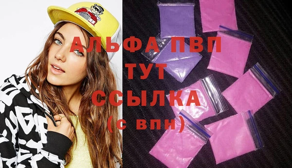 скорость Вяземский