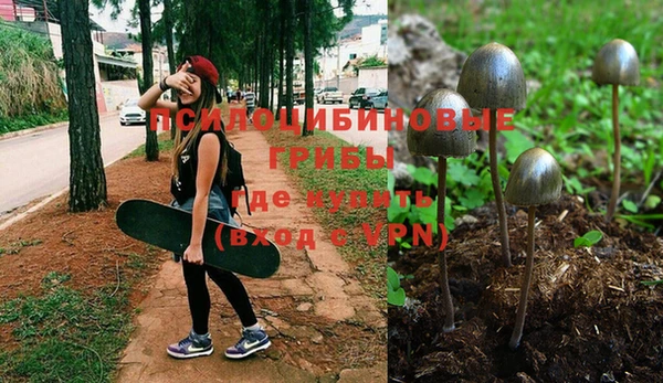 скорость Вяземский