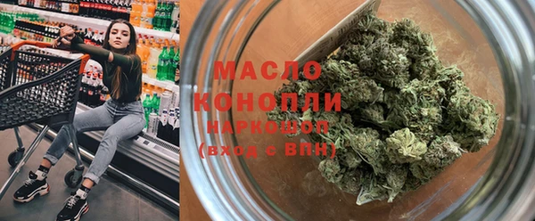 скорость Вяземский