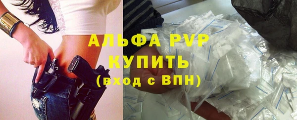 скорость Вяземский