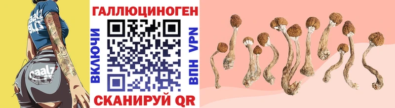 Купить  Ковылкино  Псилоцибиновые грибы ЛСД 